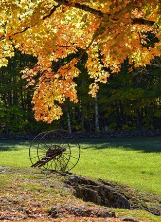 Framed Color Wheel Print