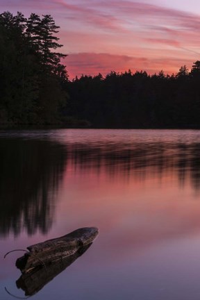 Framed Evening Reflection Print