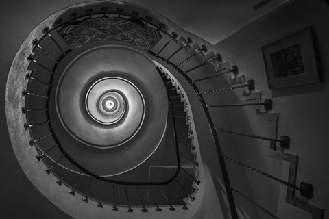 Framed Finding Fibonacci Print