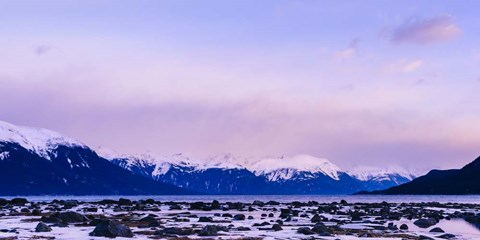 Framed Frozen Shoreline Print