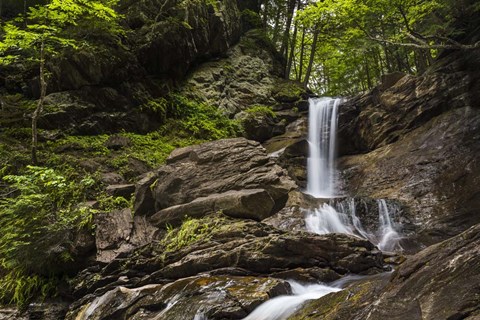 Framed Gentle Cascade Print