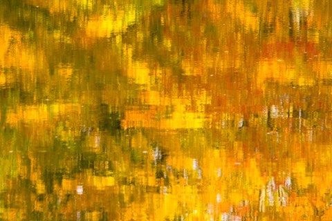 Framed Glowing Waters Print