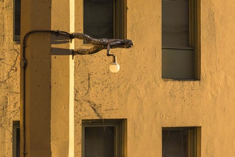 Framed Horizontal Print