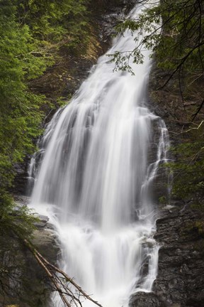 Framed Major Rush Print