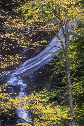 Framed Moss Glen Falls In Autumn Print