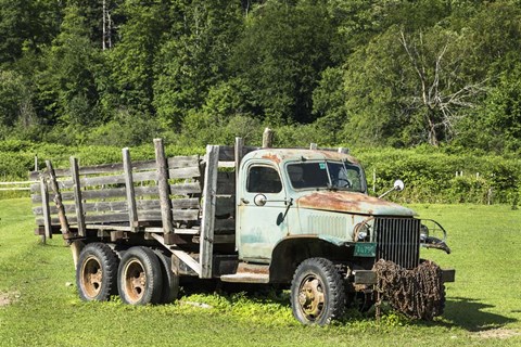 Framed Old Reliable - Color Print