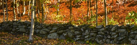Framed Old Rock Wall Print