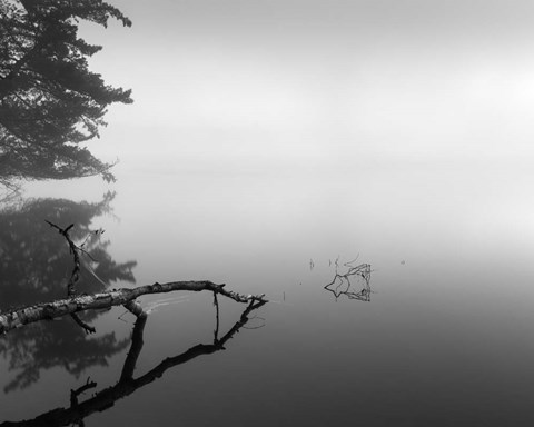 Framed Silent Morning Print