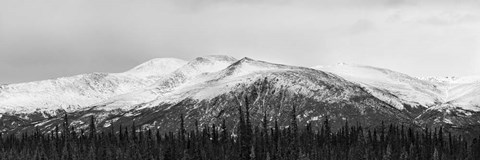 Framed Snowscape Print