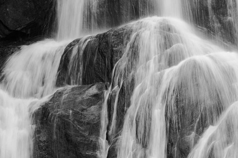 Framed Sprayed Print