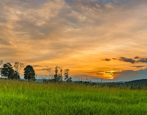 Framed Summer Light Print