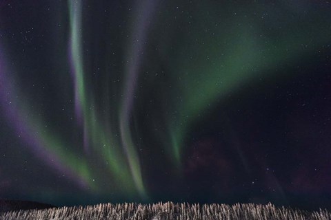 Framed Swirls Of Wonder Print