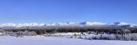 Framed Winter Wilderness Print