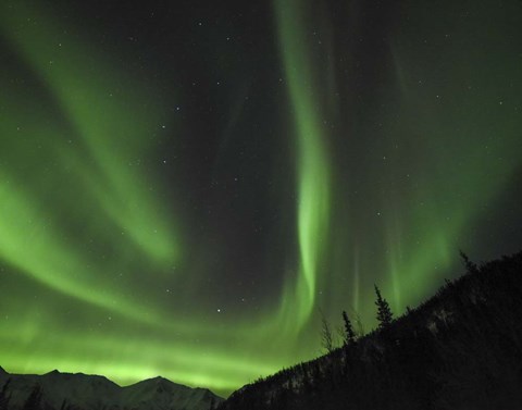 Framed Winter&#39;s Night Sky Print