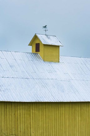 Framed Yellow Cupula Print