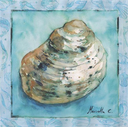 Framed Shell 4 Print