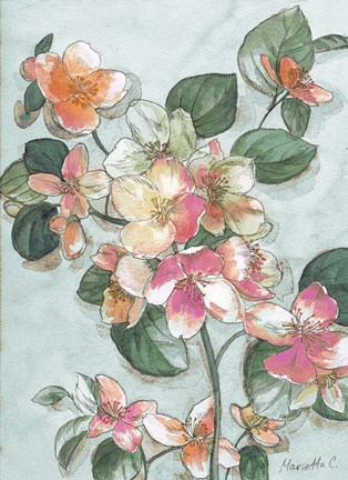 Framed Flowers Study 2 Blue Print