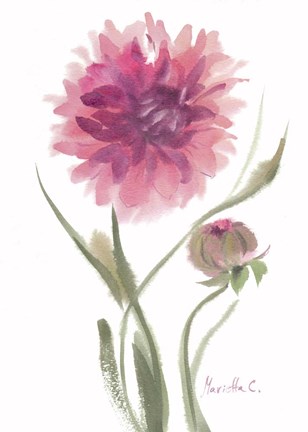 Framed Flower Series 6 Print