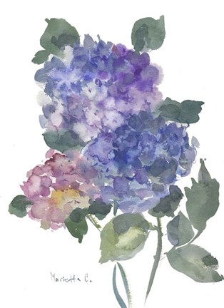 Framed Hidragenia 1 Print