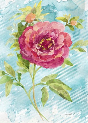 Framed Spring Garden II Print