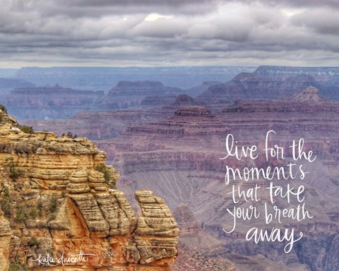 Framed Grand Canyon II Print