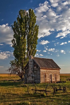 Framed Memories Print