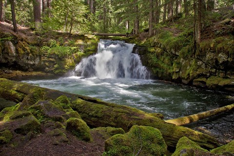 Framed Whitehorse Falls Print