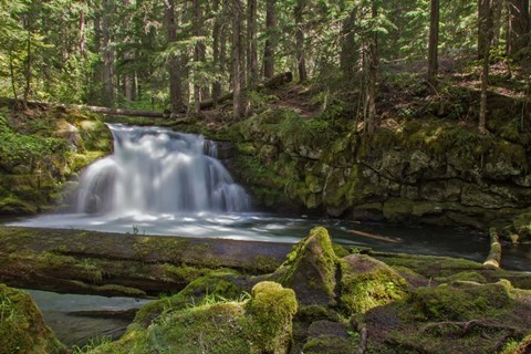 Framed Whitehorse Falls Print