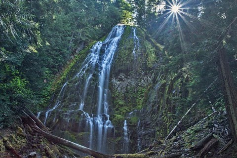 Framed Lower Proxy Falls Print