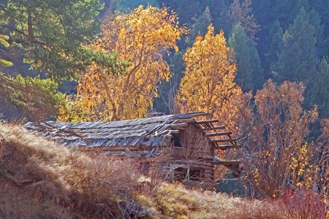 Framed North Fork Cabin Print