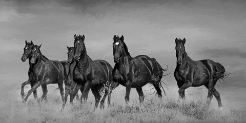 Framed Voodoo Band Print