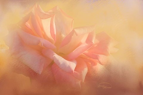 Framed Light is Life Print