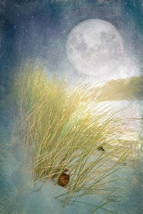 Framed Moonlight Beach Print
