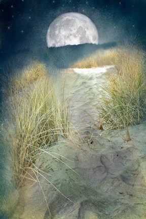 Framed Moonlight Path Print