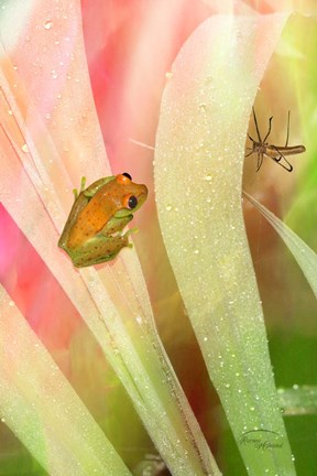 Framed Got My Eye On You Print