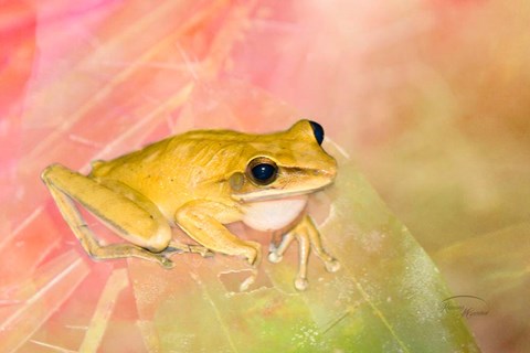 Framed Waiting for Lunch Print