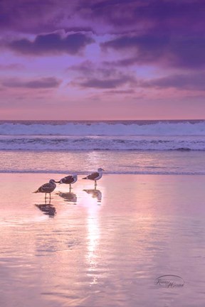 Framed Seagull Beach II Print