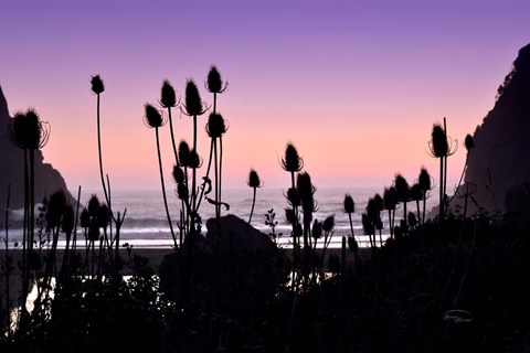 Framed Beach Twilight I Print