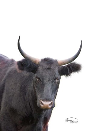 Framed Whatzup Print