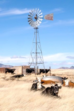 Framed On a Lazy Afternoon Print