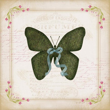 Framed Butterfly Print