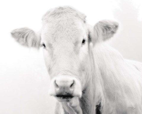 Framed Cow III Print