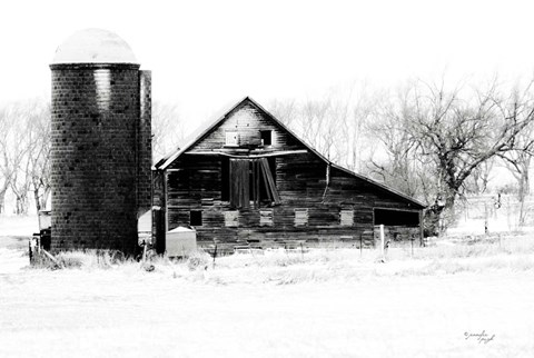 Framed Barn II Print