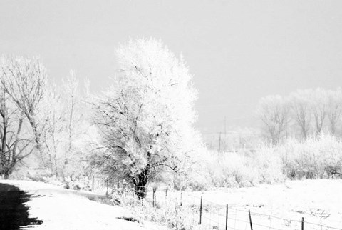 Framed Winter Scene Print