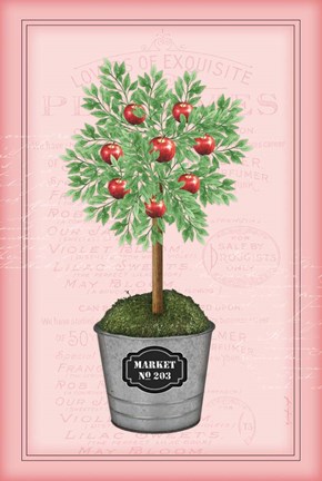 Framed Apple Topiary - Pink Print