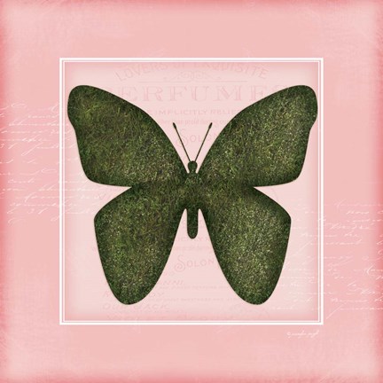 Framed Butterfly - Pink Print