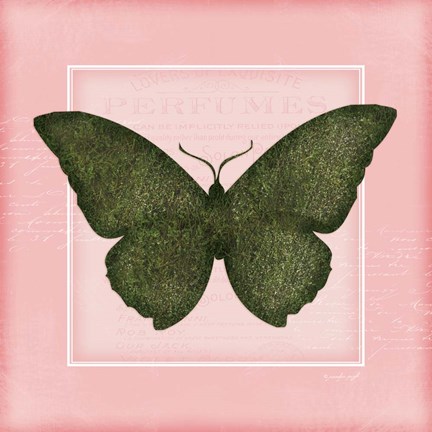 Framed Butterfly II - Pink Print