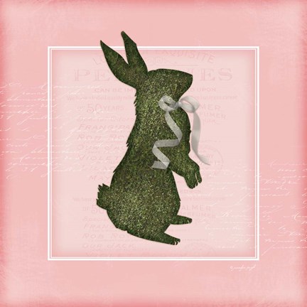 Framed Bunny - Pink Print