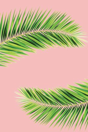 Framed Pink Palm II Print