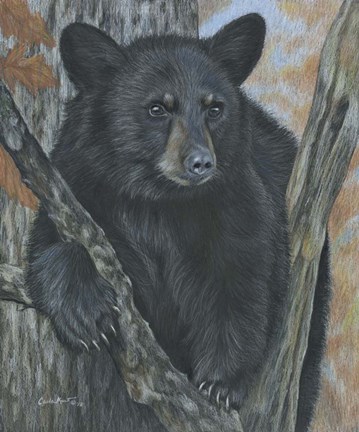 Framed Backyard Visitor Print